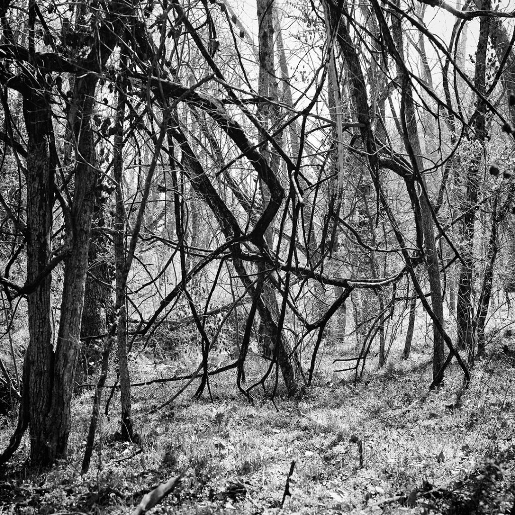Chaos in Nature 1