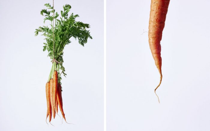 Carrot 2 up