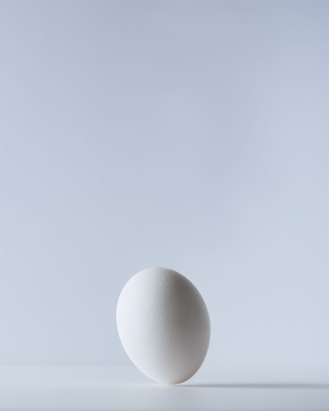 Falling Egg