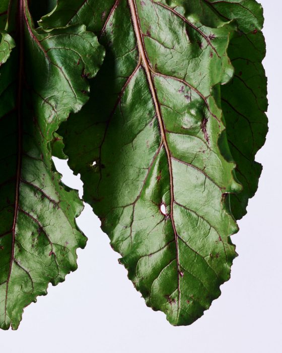 Beet Leaves