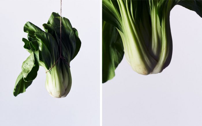 Pak Choy 2 up